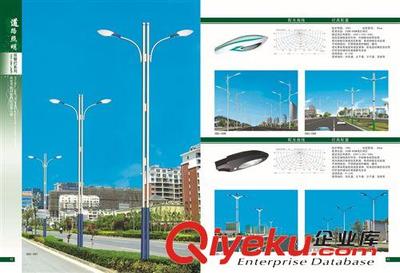 高效節(jié)能，穩(wěn)定耐用——250W道路照明燈的低價供應與產(chǎn)品優(yōu)勢